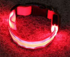 Anti-Lost Led Luminous Dog Collar Pet Supplies