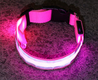 Anti-Lost Led Luminous Dog Collar Pet Supplies