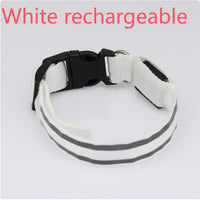 Anti-Lost Led Luminous Dog Collar Pet Supplies
